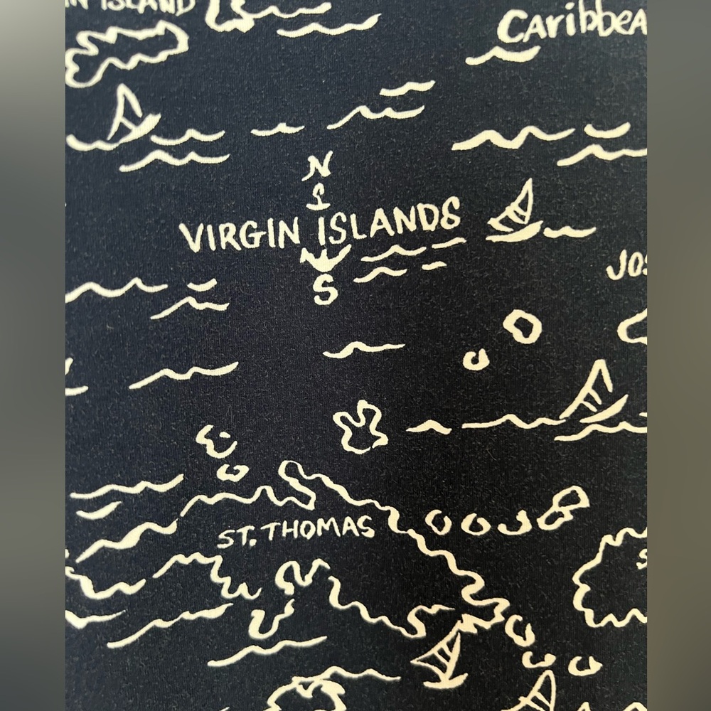 Navy and White Map Print Dress - Picture 3 of 3